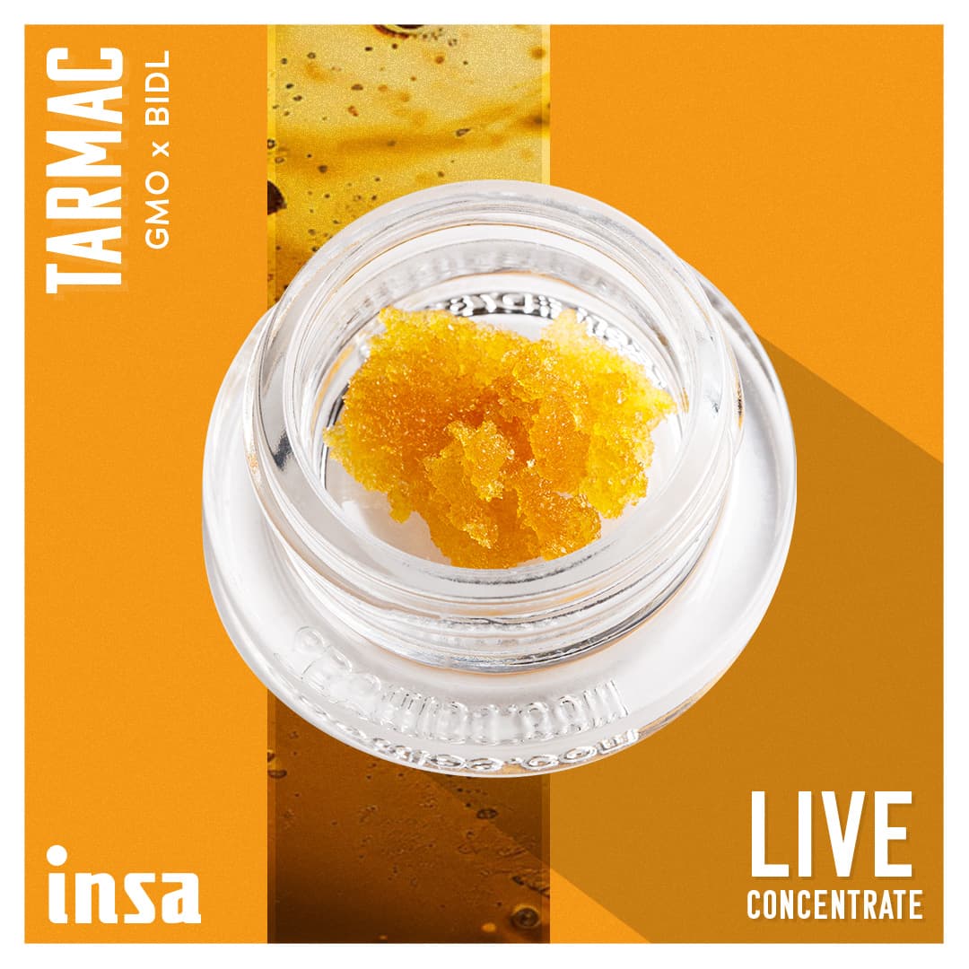 Insa Live SGR - Tarmac