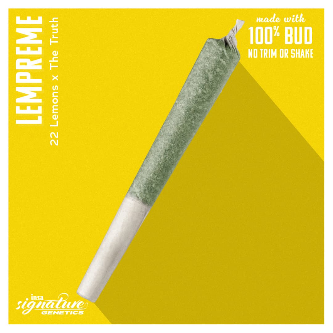 Insa Premium Pre-Roll - Lempreme