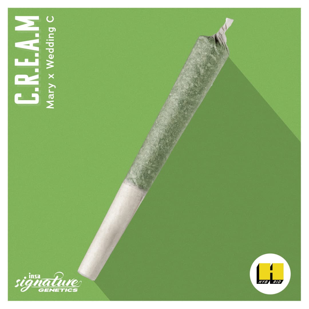 Insa Grower's Reserve Pre-Roll - CREAM