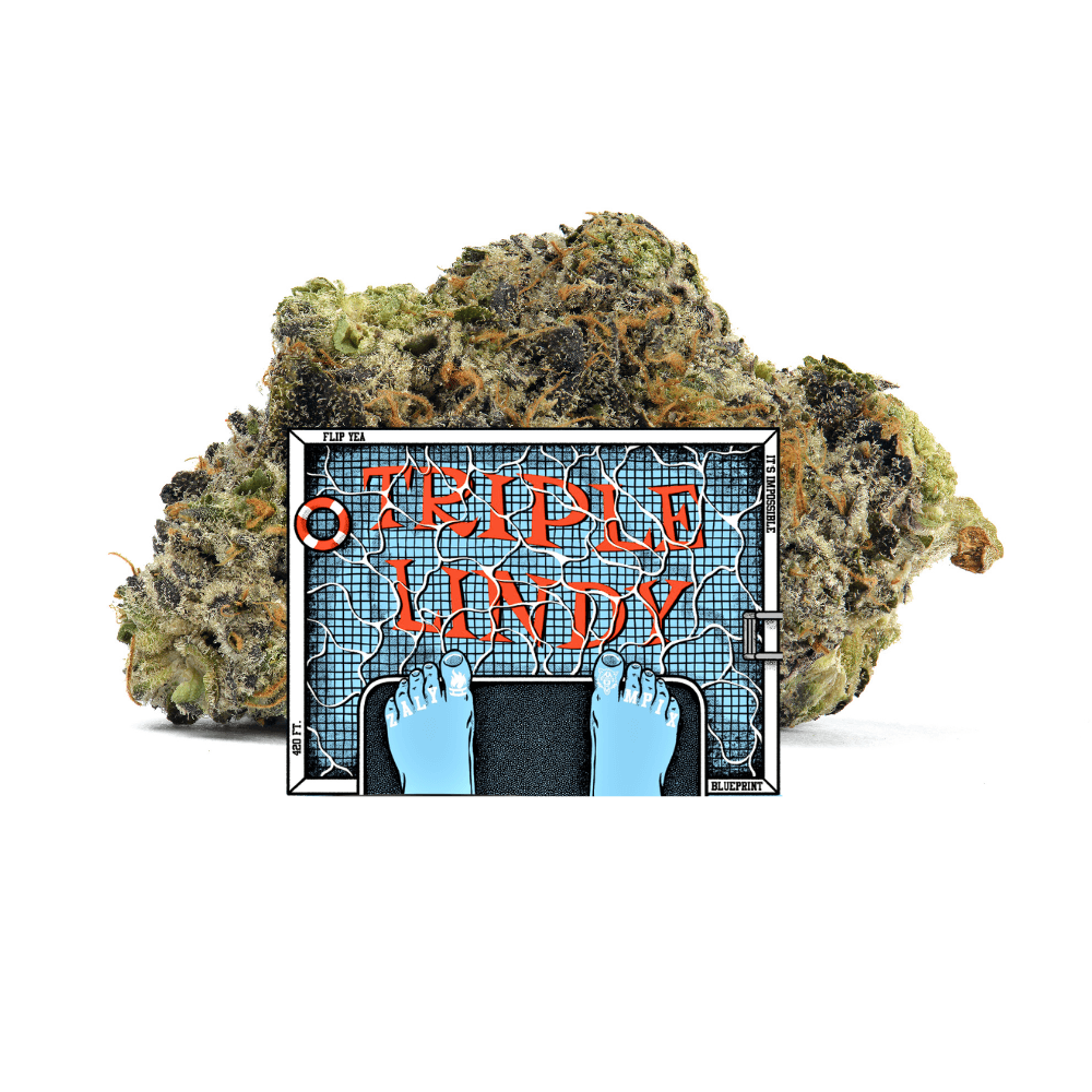 Blueprint Cannabis Co. Triple Lindy