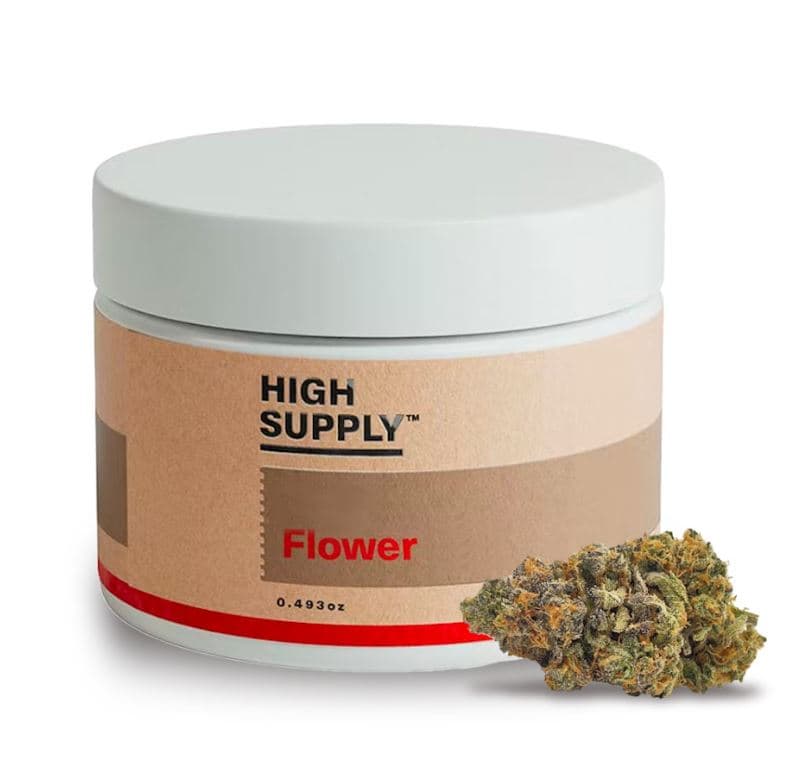 High Supply™ Grease Monkey x Tina