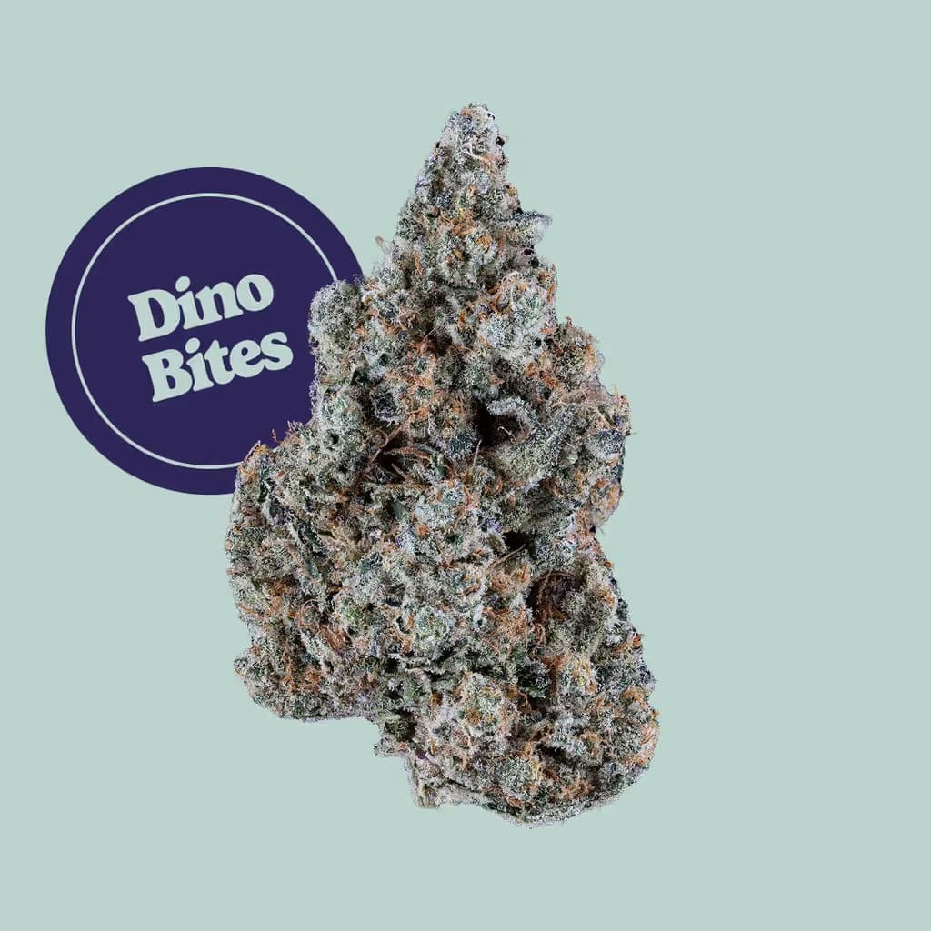 Kind Tree Dino Bites