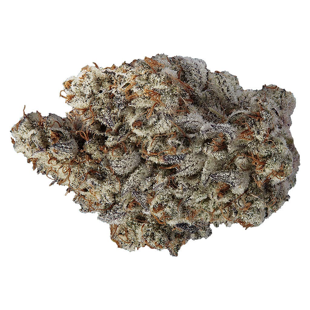 Volo Beast Jars - 7g