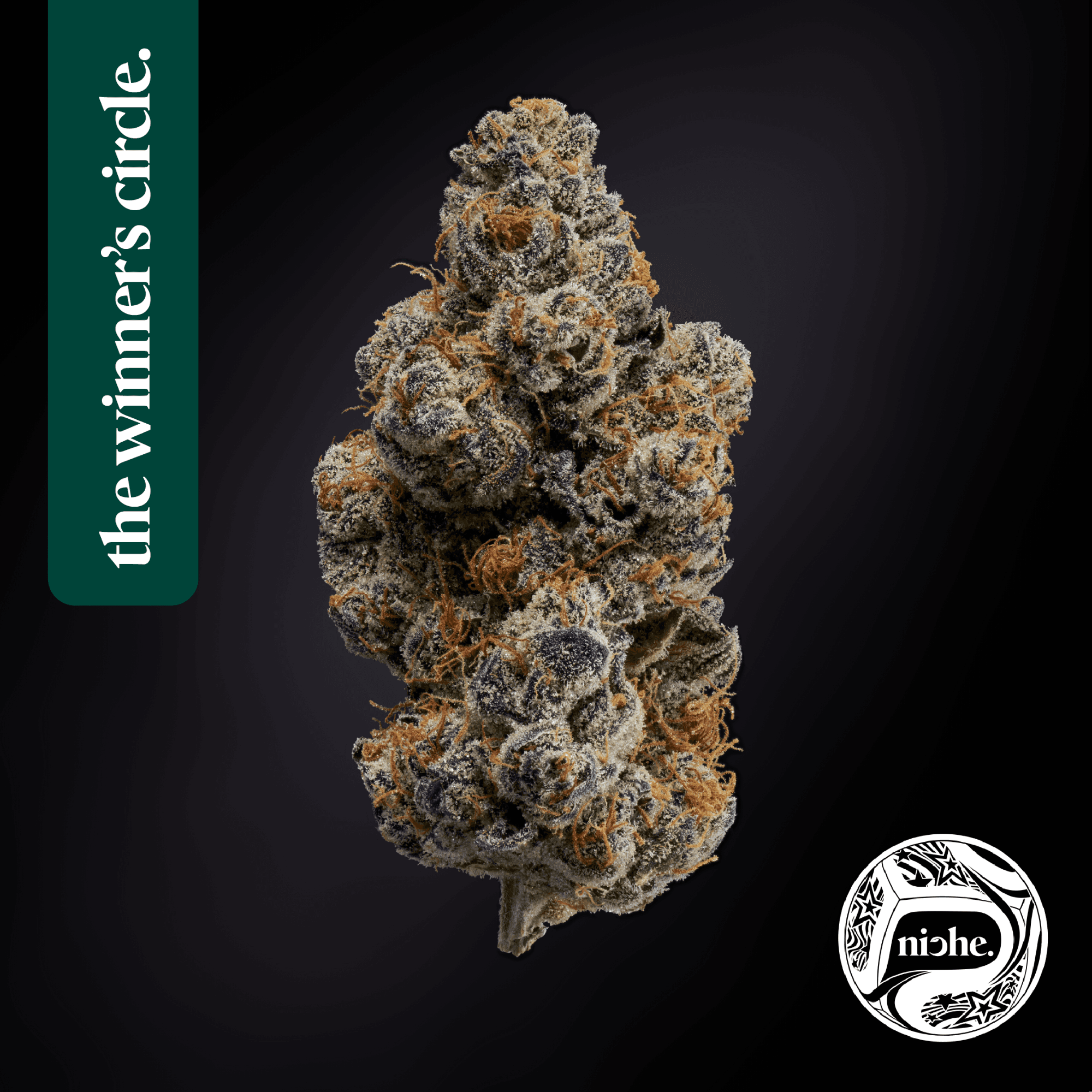 niche. BLUEPHORIA | 1G | FLOWER