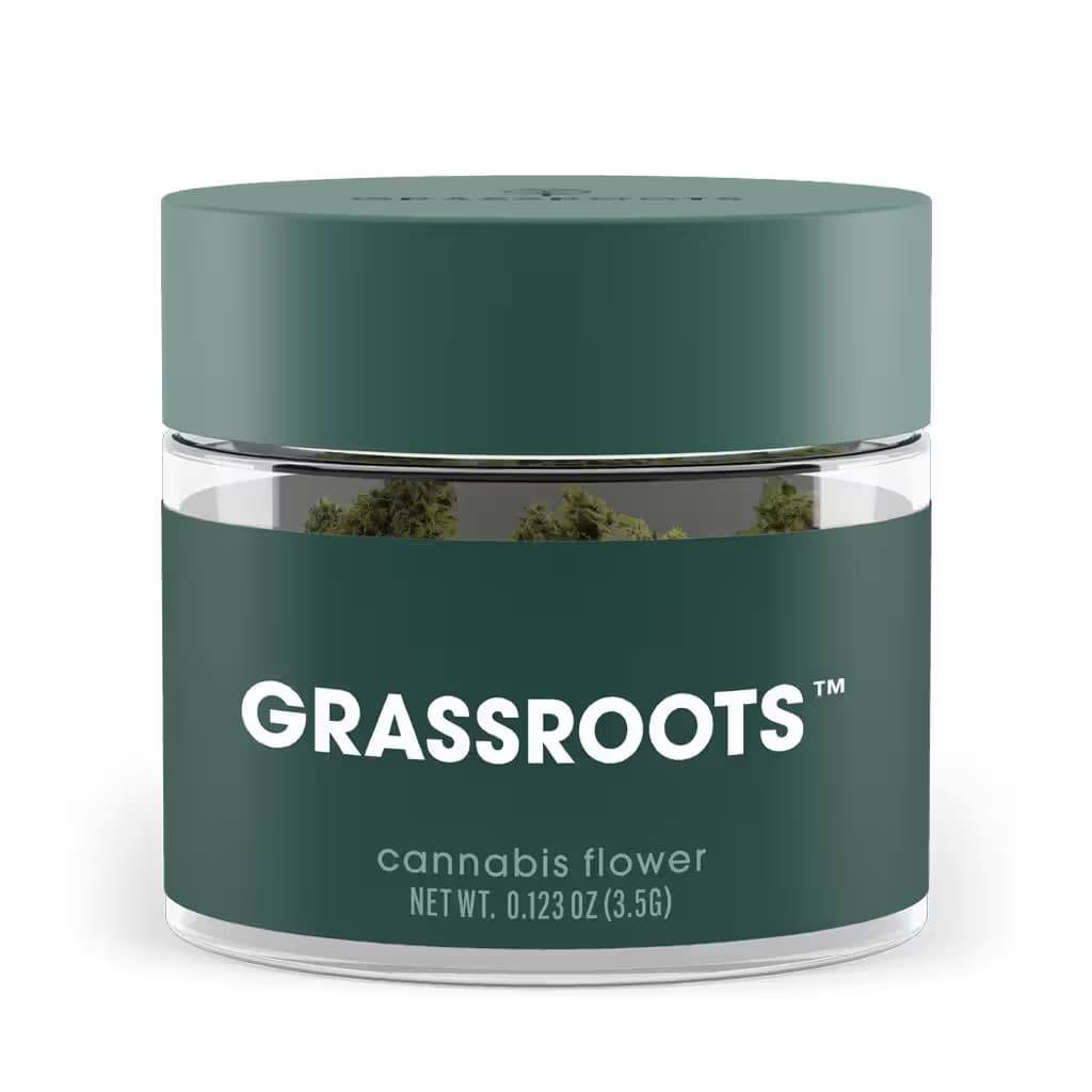 Grassroots Golden Sands