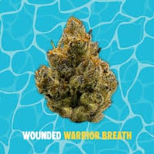 Buoyant Bob Wounded Warriors Breath - Pre-Packed - 3.5g