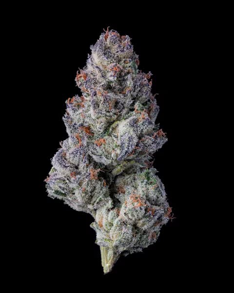 Cookies Blueberry Caviar | 3.5g