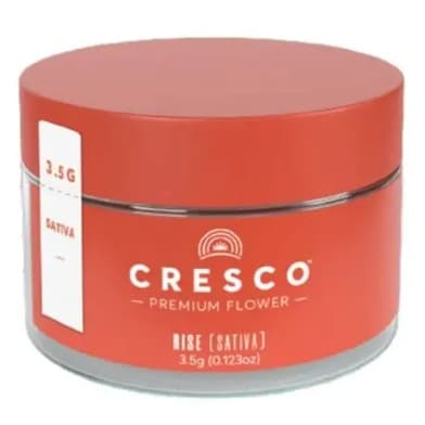 Cresco™ Pineapple Under the Sea Flower
