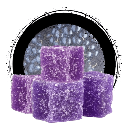 OZONE Blackberry Soft Chew
