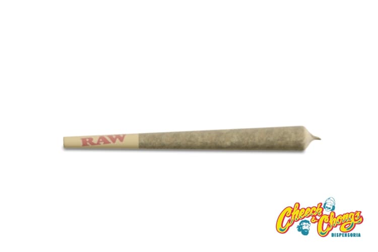 Cheech & Chong Cheech & Chong's Drooler Preroll (1.0g) Don Mega