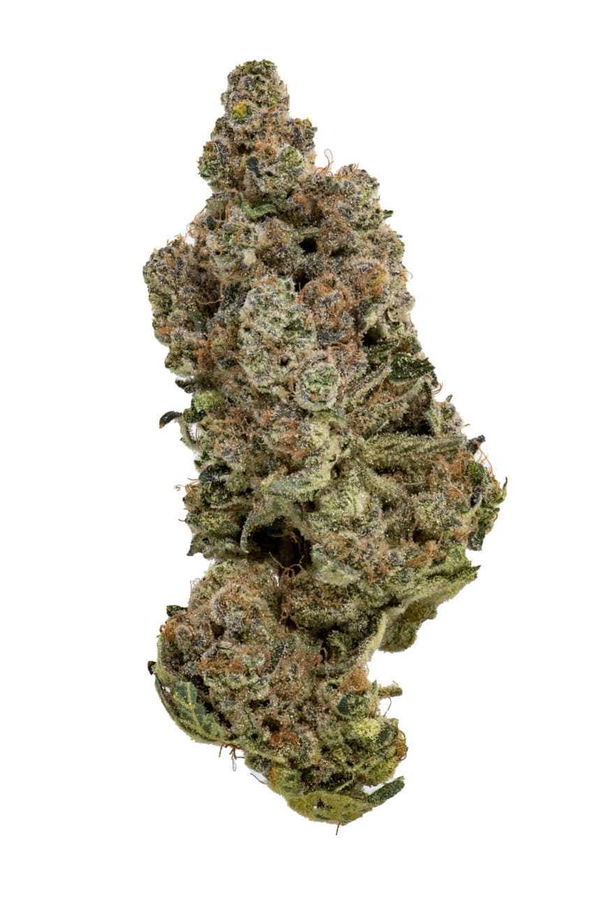 Cheech & Chong Cheech & Chong's Yesca Prepack (1/8 oz) Soleil
