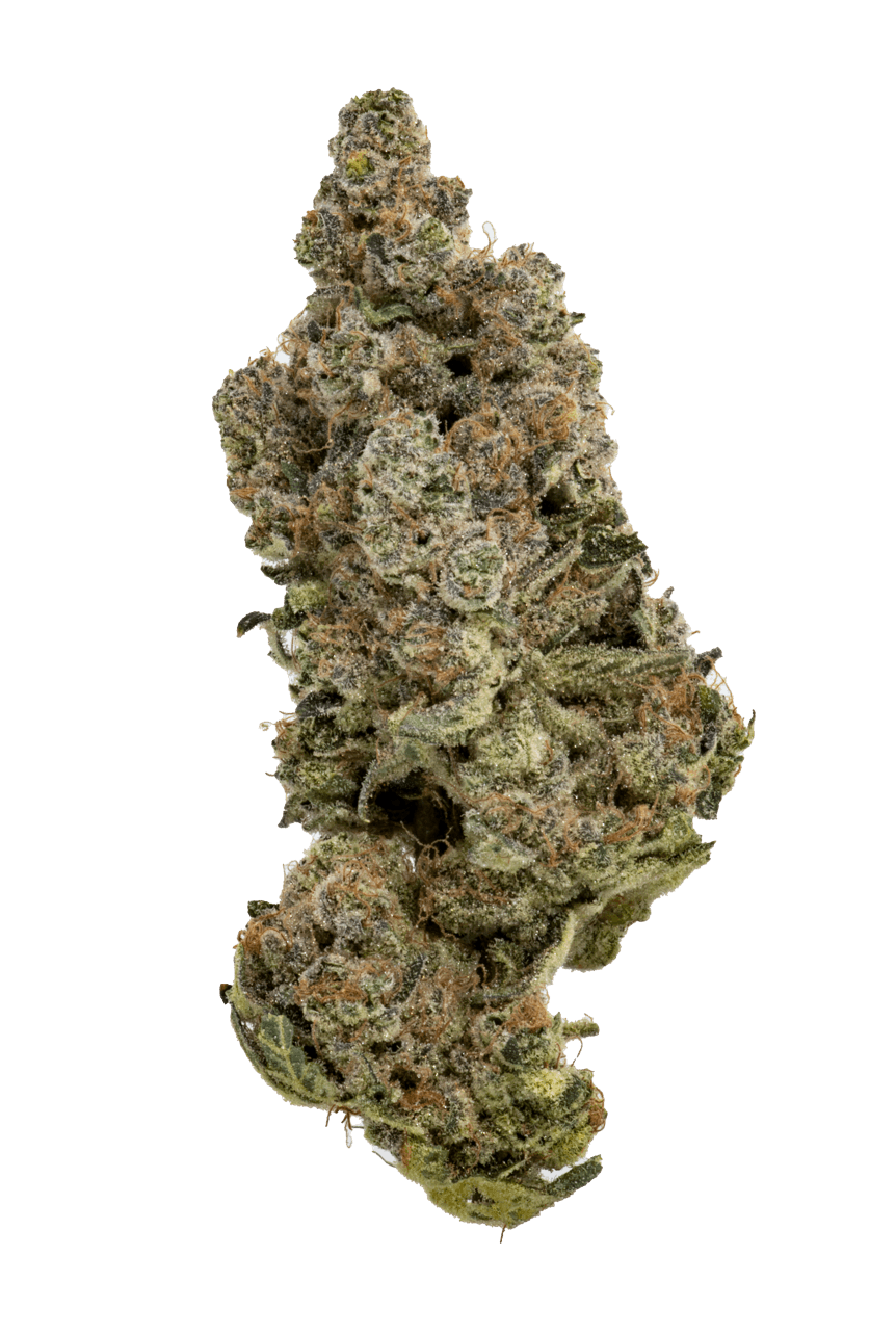 Cheech & Chong Cheech & Chong's Yesca Preroll (1.0g) Soleil