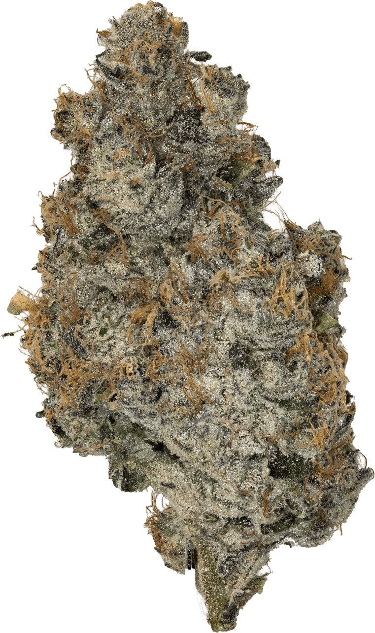 Wee-de wee-de Prepack (1/4 oz) Teflon