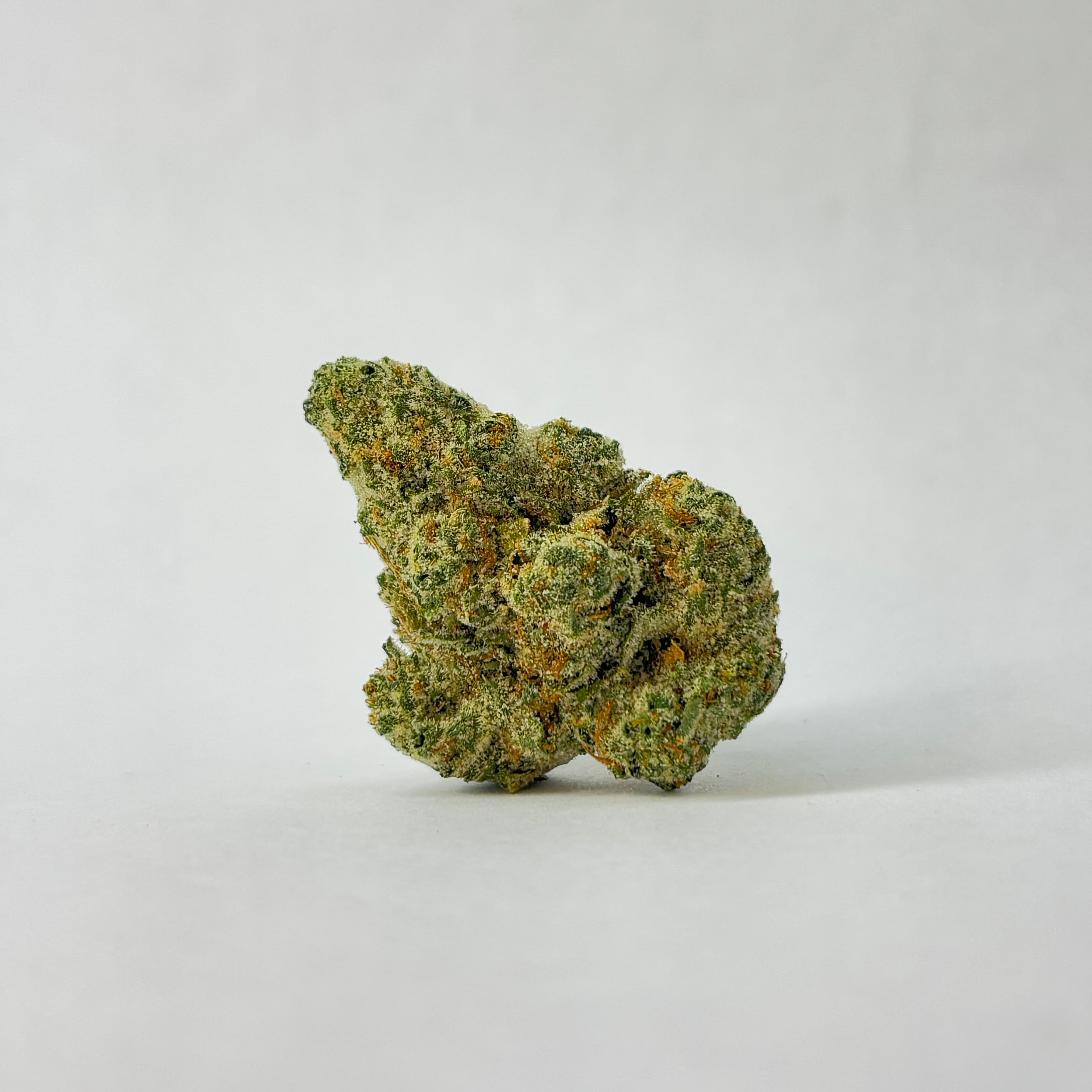 Mile from the Madison Cannabitch-Flower-|Sativa-Hybrid|MFM