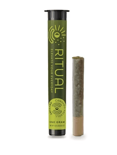 Ritual Bacio Gelato | Preroll | 1g