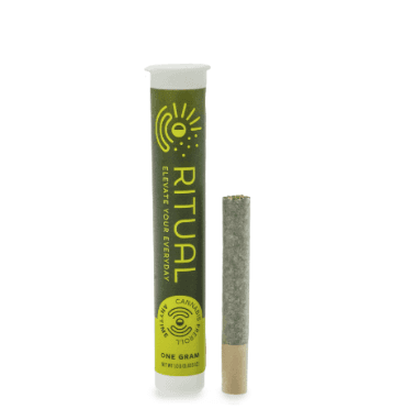 Ritual White Apple Tartz | Preroll | 1g