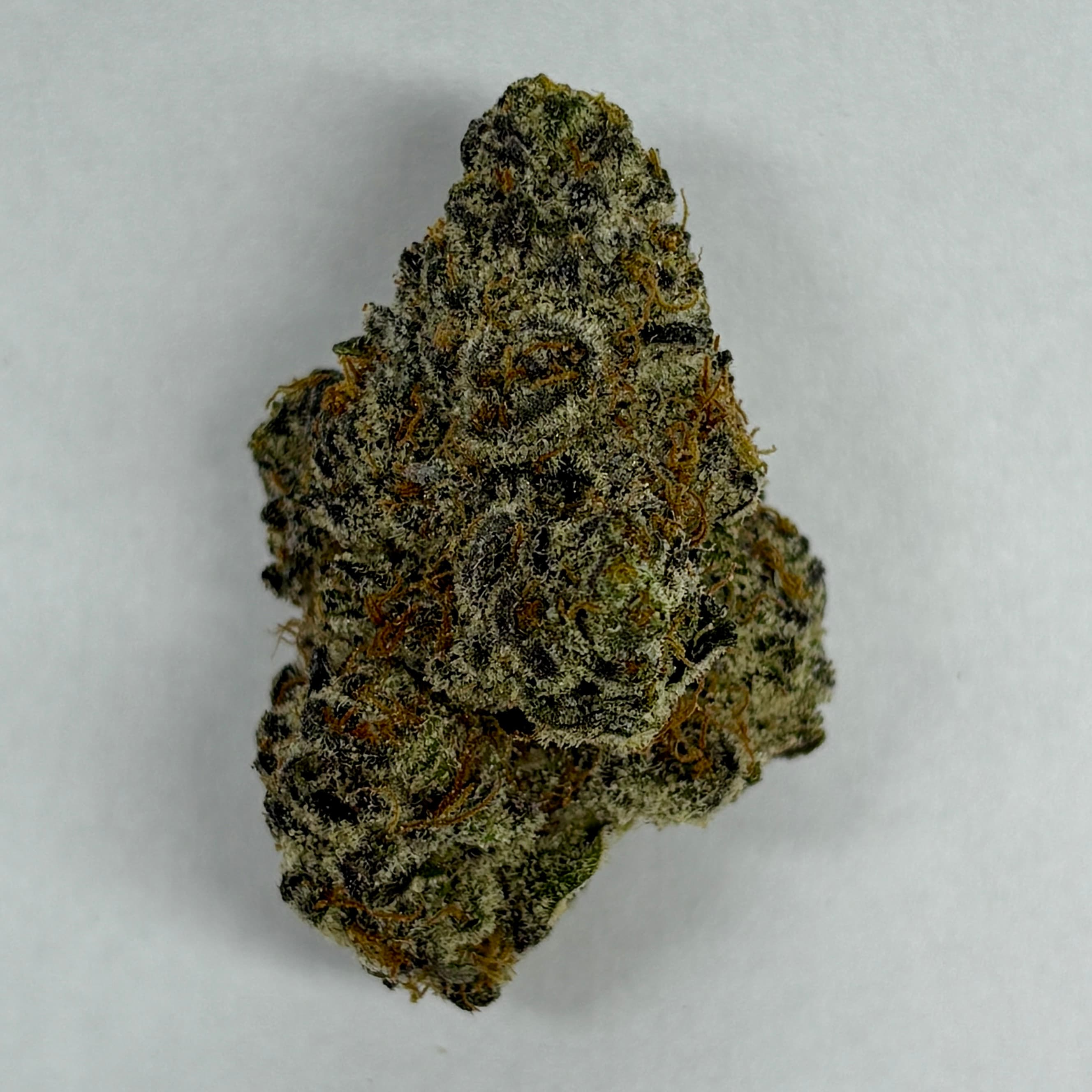 Mile from the Madison KeptSecret-Flower-|Sativa-Dominant|MFM