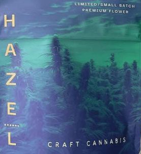 Hazel