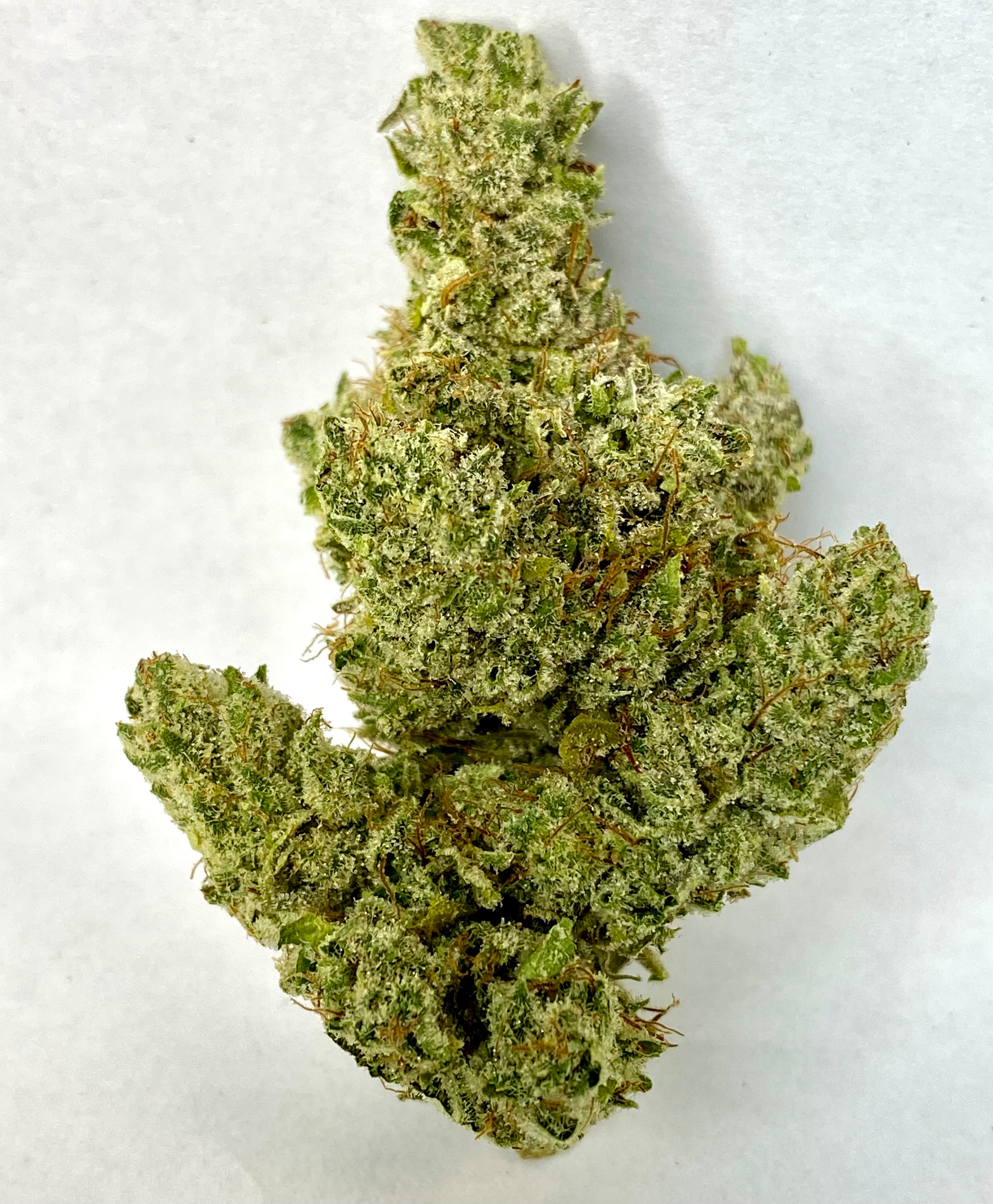Holistic Releaf By Design