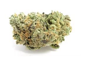 Glorious Cannabis Co. Blue Zushi