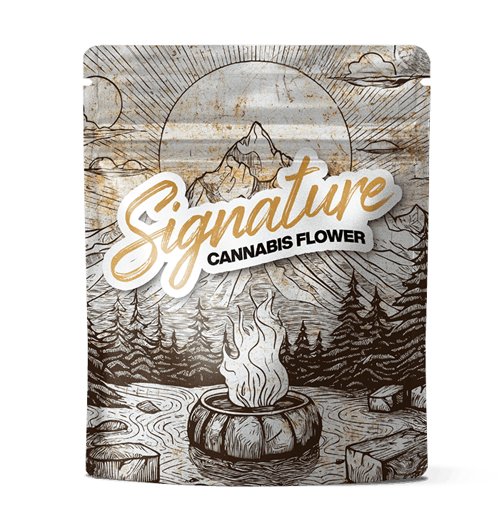 Signature Mimosa | Flower