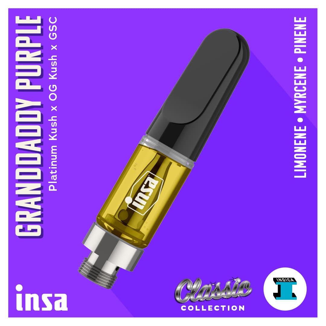 Insa