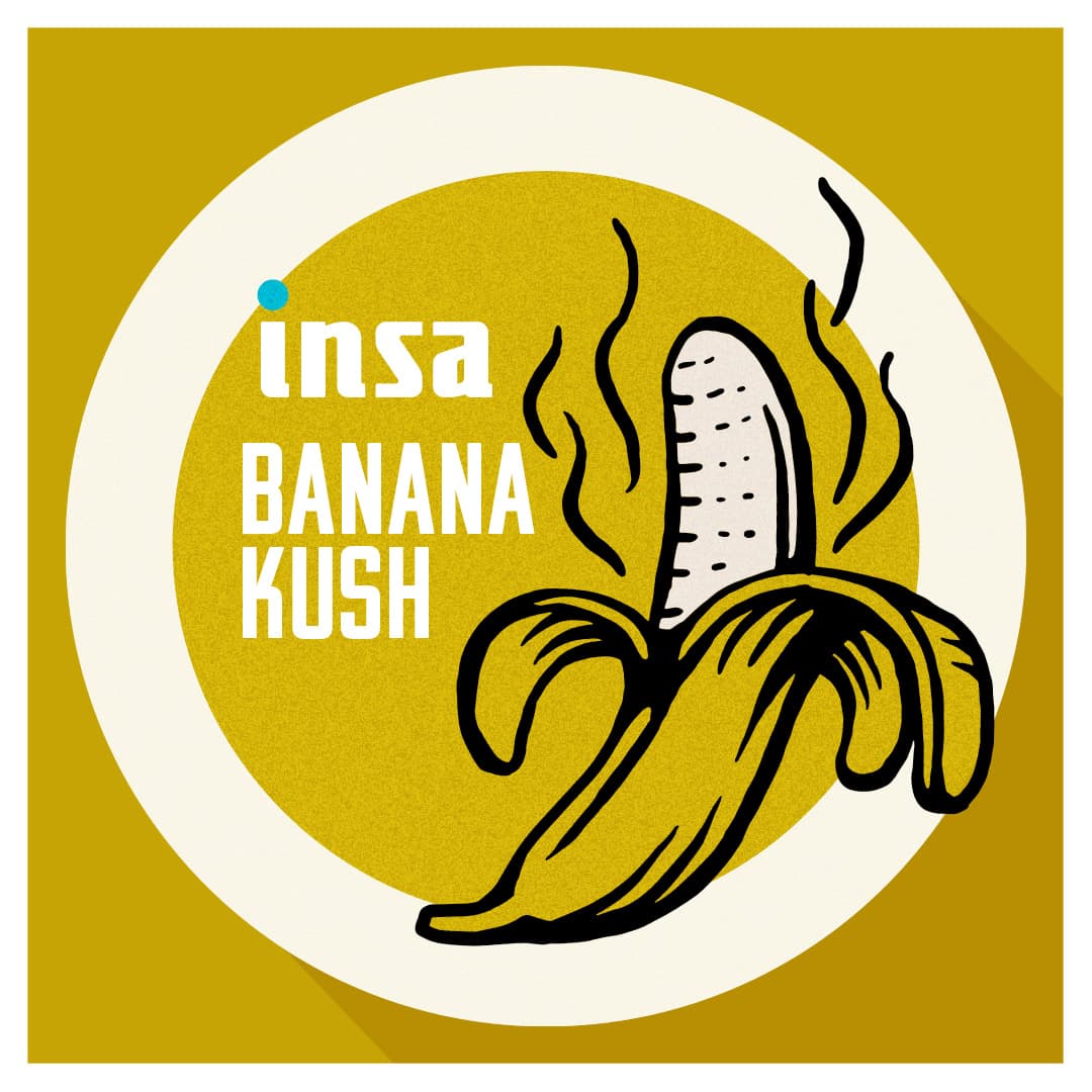 Insa Dart Pod - Banana Kush