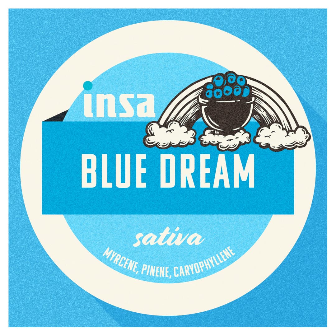 Insa Dart Pod - Blue Dream