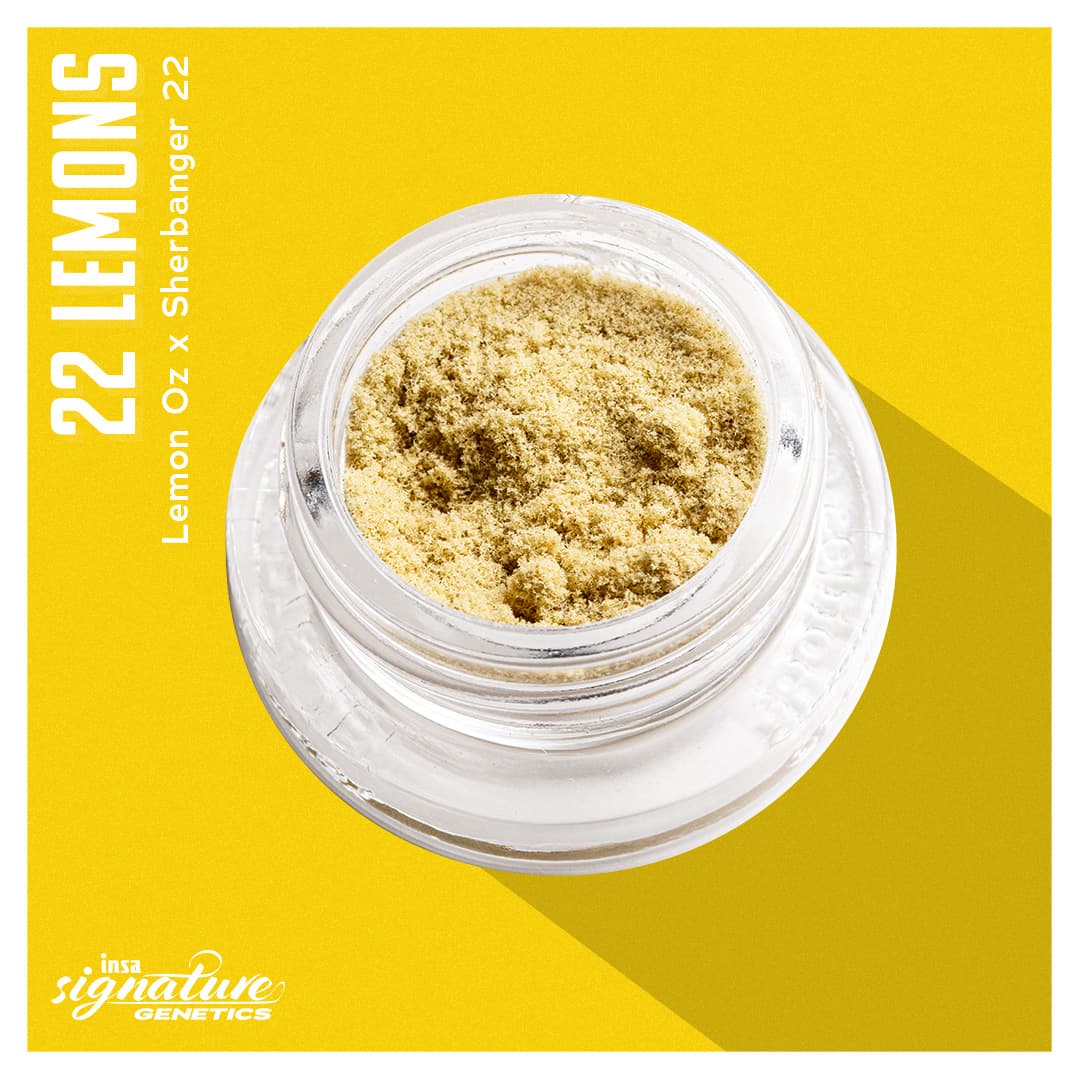 Insa Kief - 22 Lemons