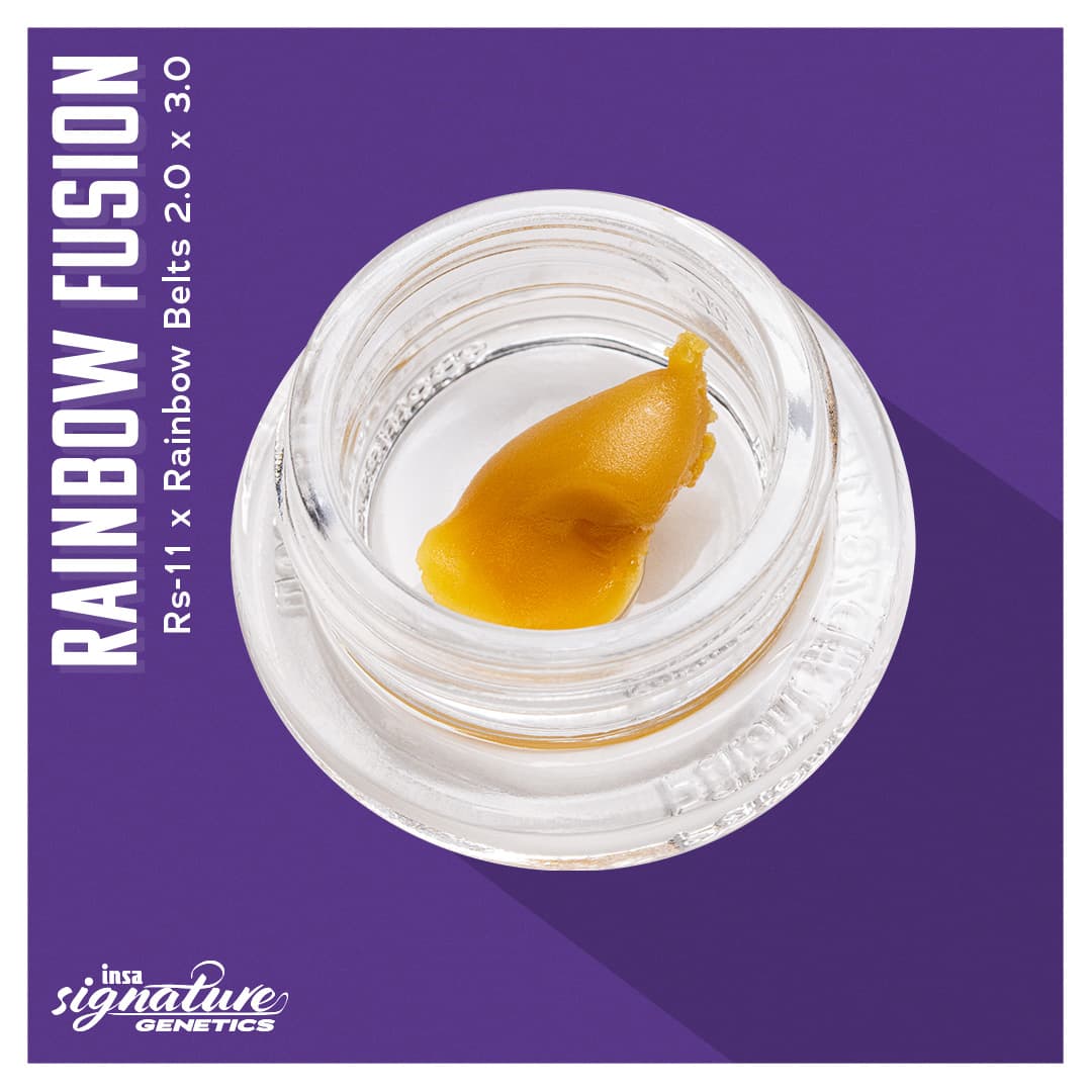 Insa Wax - Rainbow Fusion