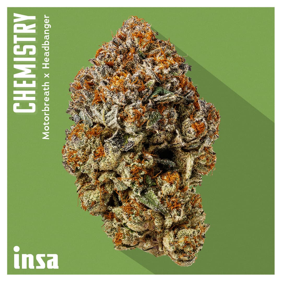 Insa Premium Flower - Chemistry