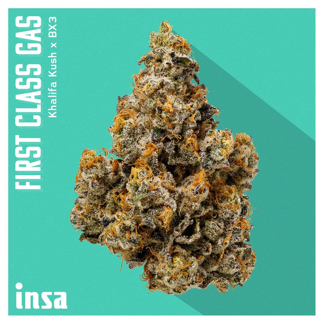 Insa Premium Flower - First Class Gas