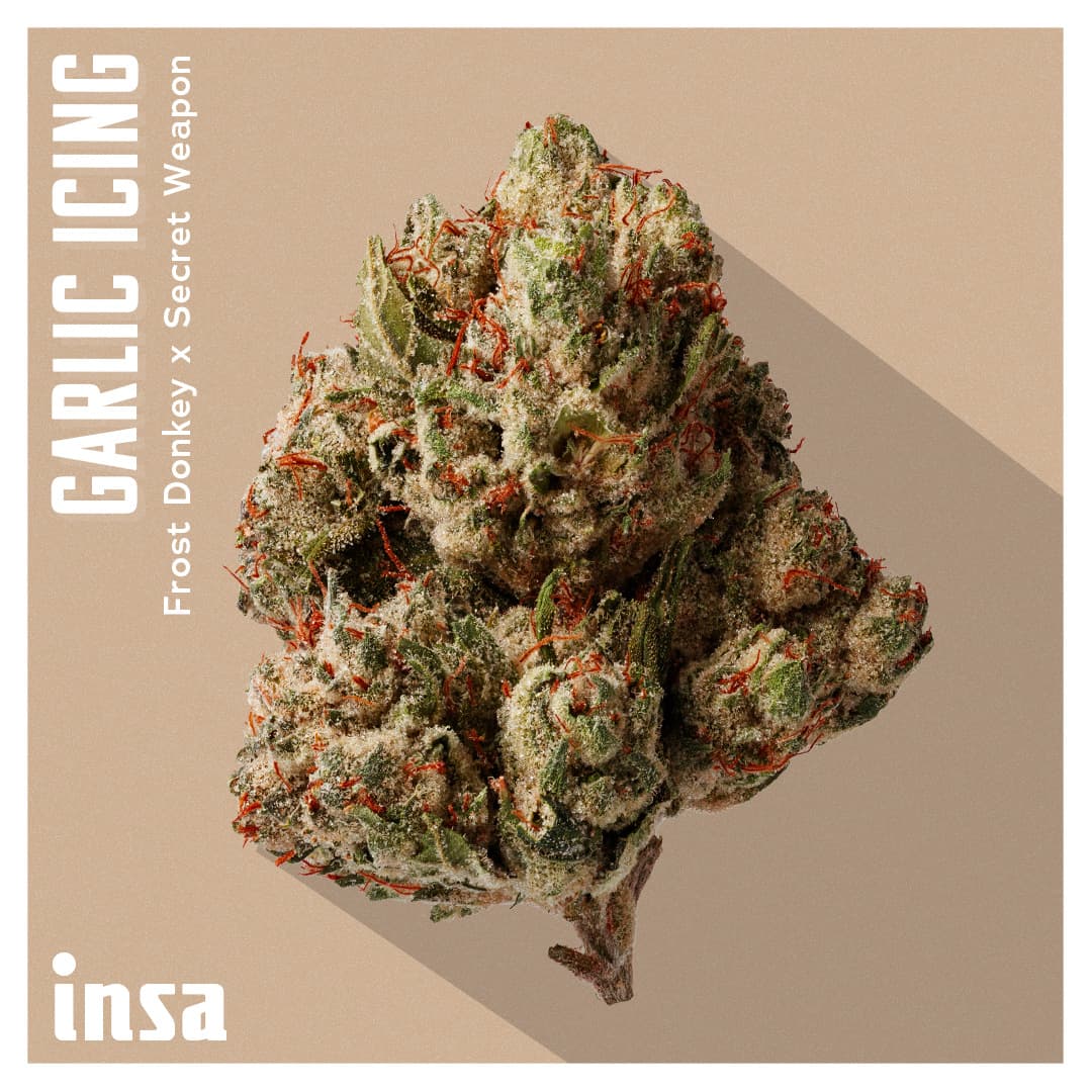 Insa Premium Flower - Garlic Icing