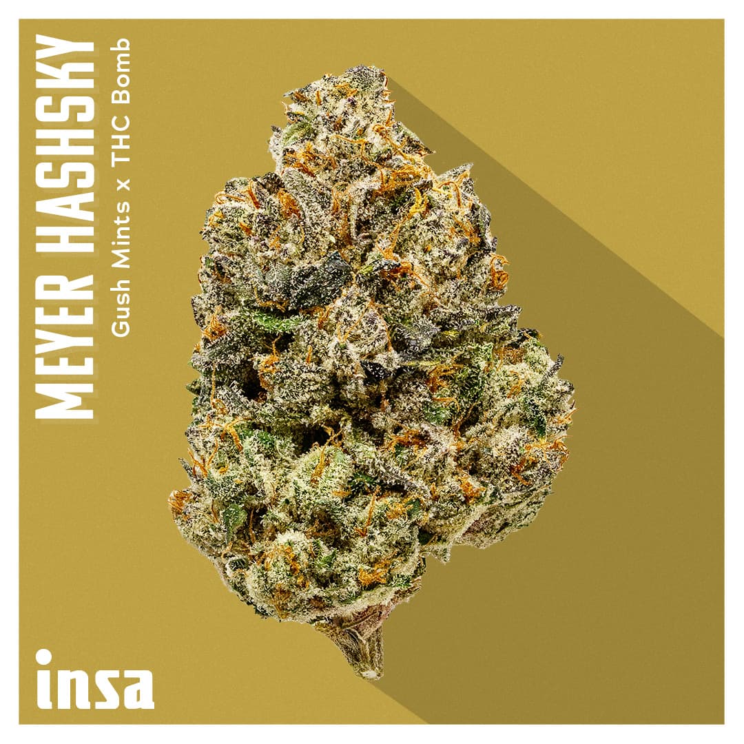 Insa Premium Flower - Meyer Hashsky