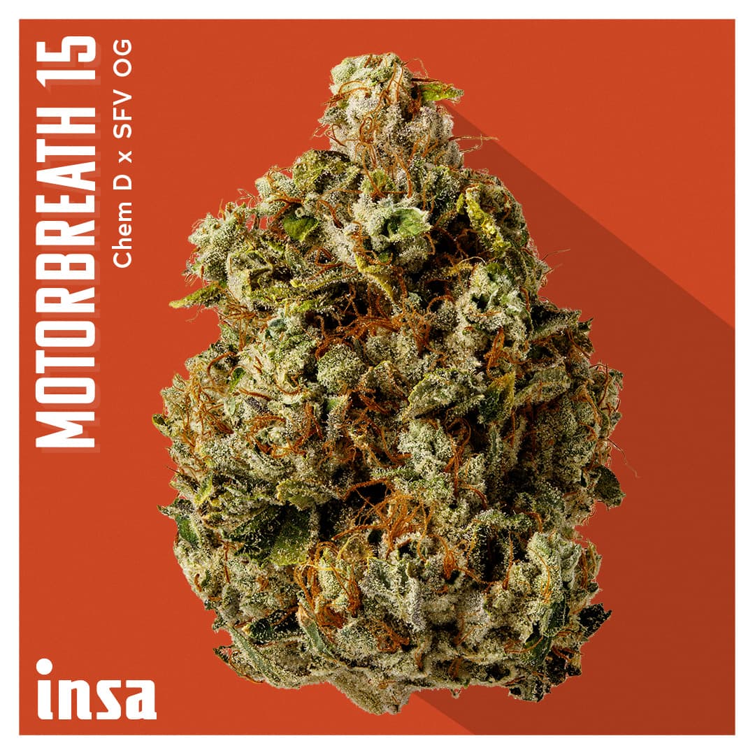 Insa Premium Flower - Motorbreath 15