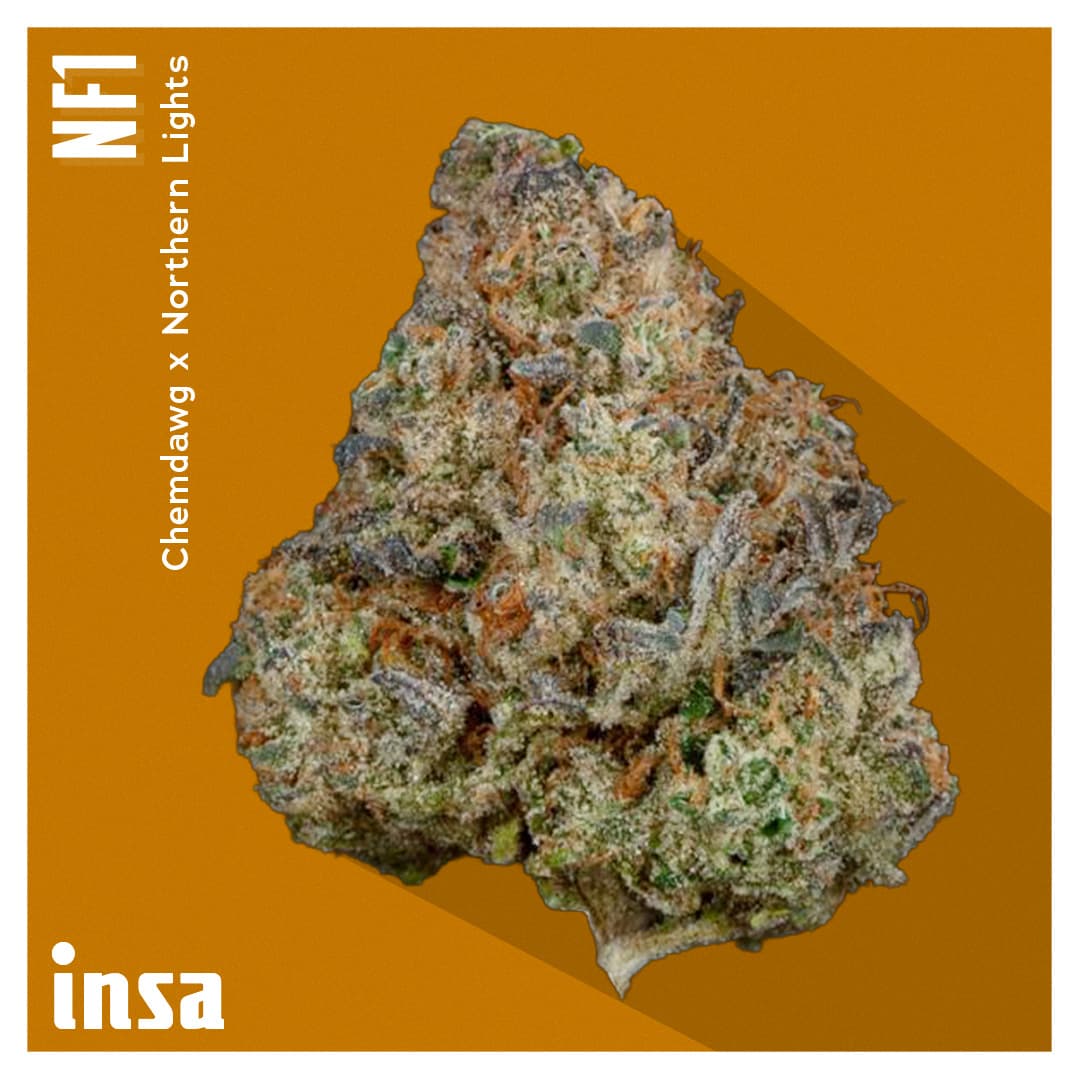 Insa Premium Flower - NF1