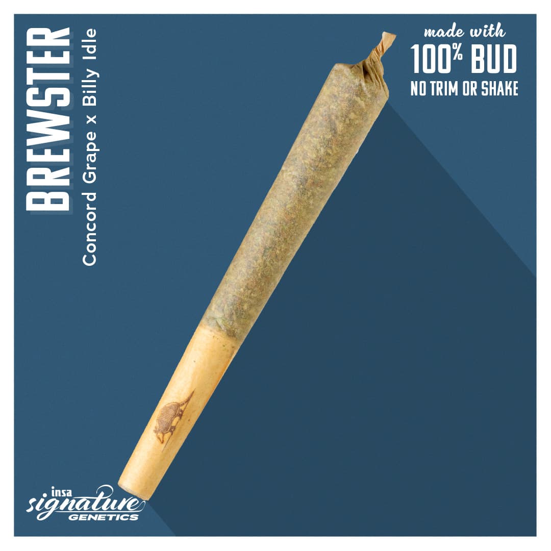 Insa Pre-Roll - Brewster