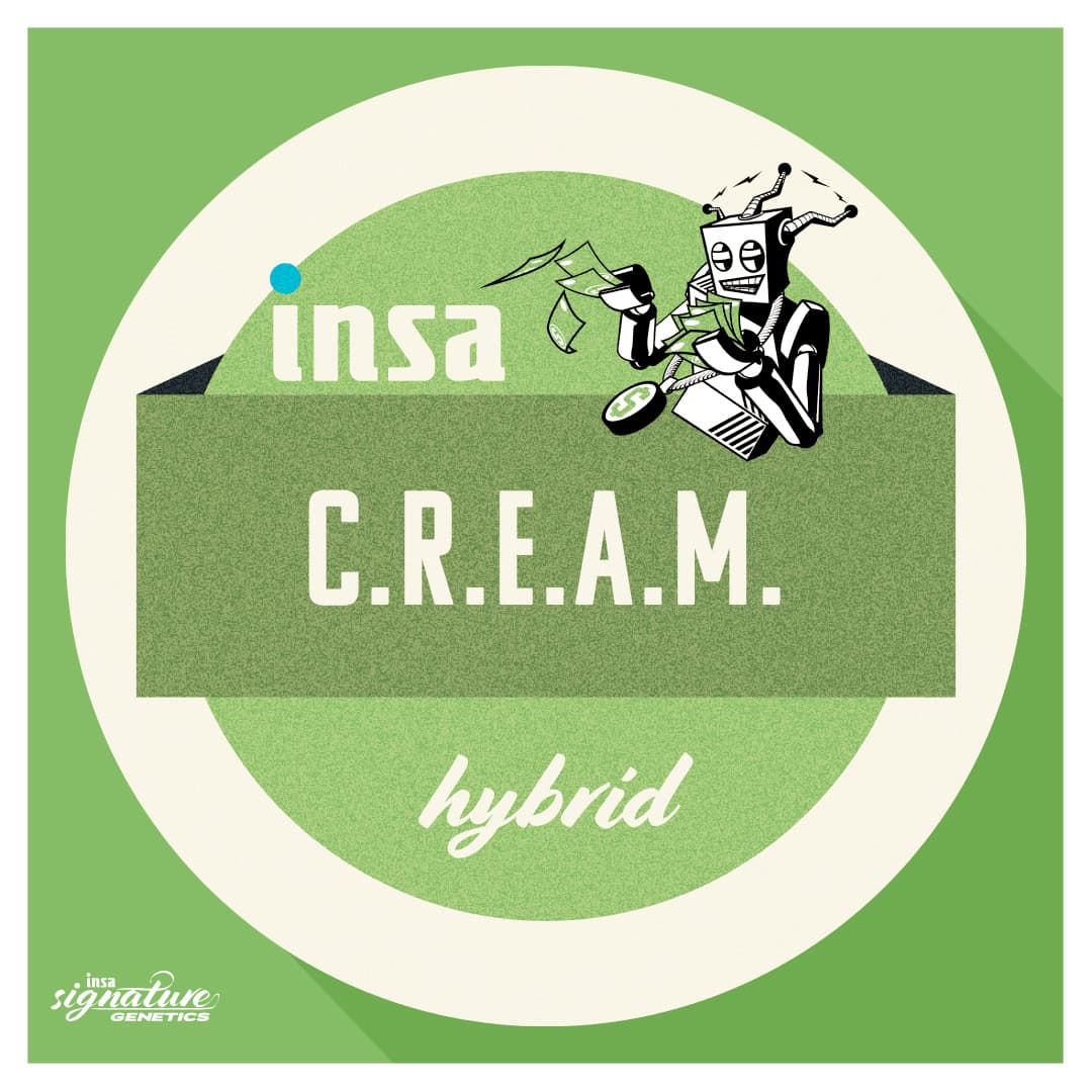 Insa Premium Smalls - C.R.E.A.M.