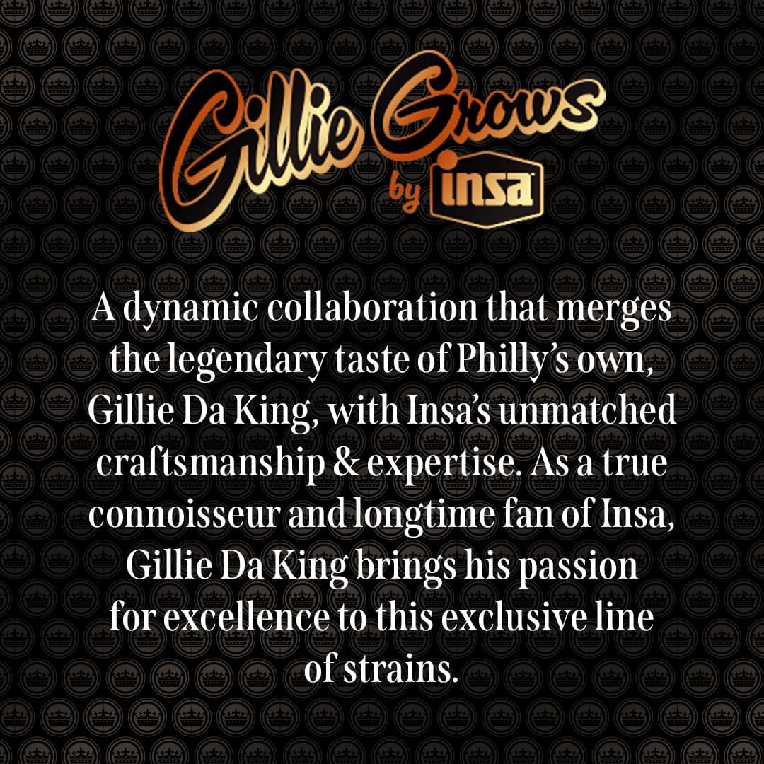 Gillie Grows Flower - Mule Kick
