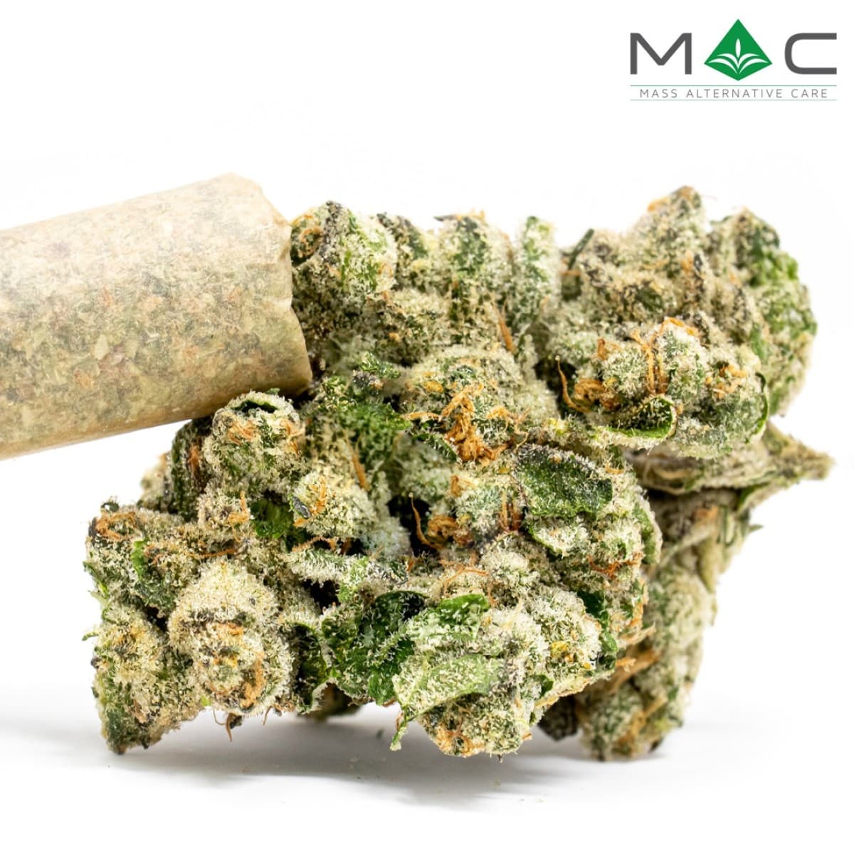 MAC Rainbow Road Pre-Roll