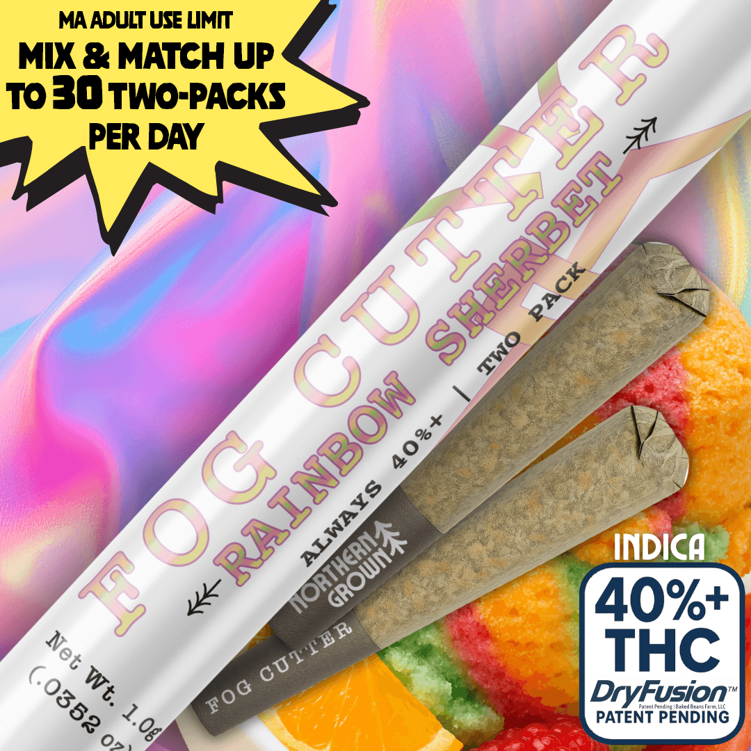 Fog Cutter by Northern Grown Rainbow Sherbet | 0.5g Infused PreRoll 2 Pack
