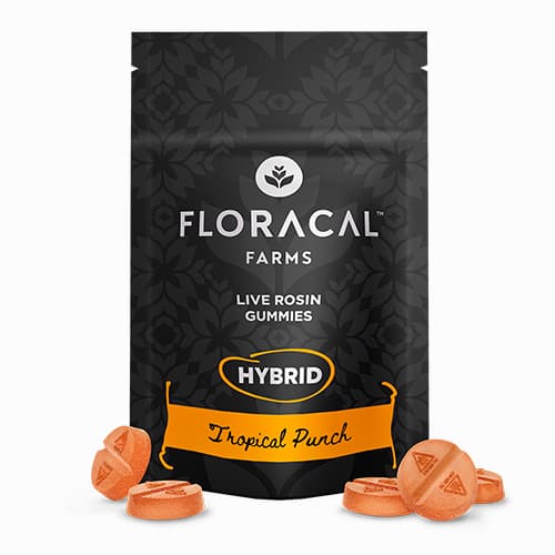 FloraCal Farms Tropical Punch | Gummies | 100mg (20pcs)
