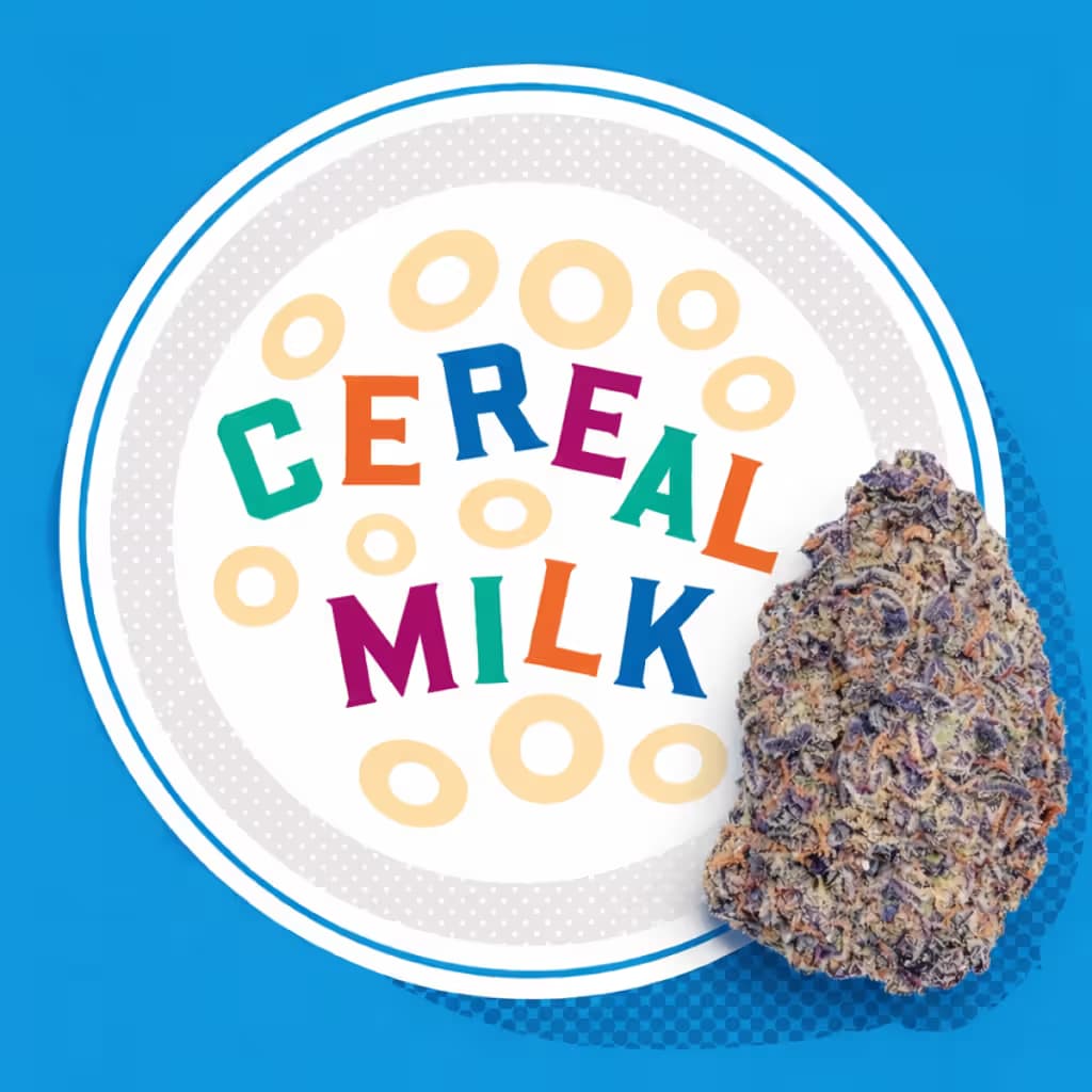 Cookies Cereal Milk