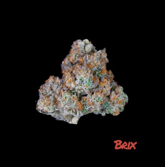 Brix Cannabis Gush Mintz 1g Pre Roll (I) 00550