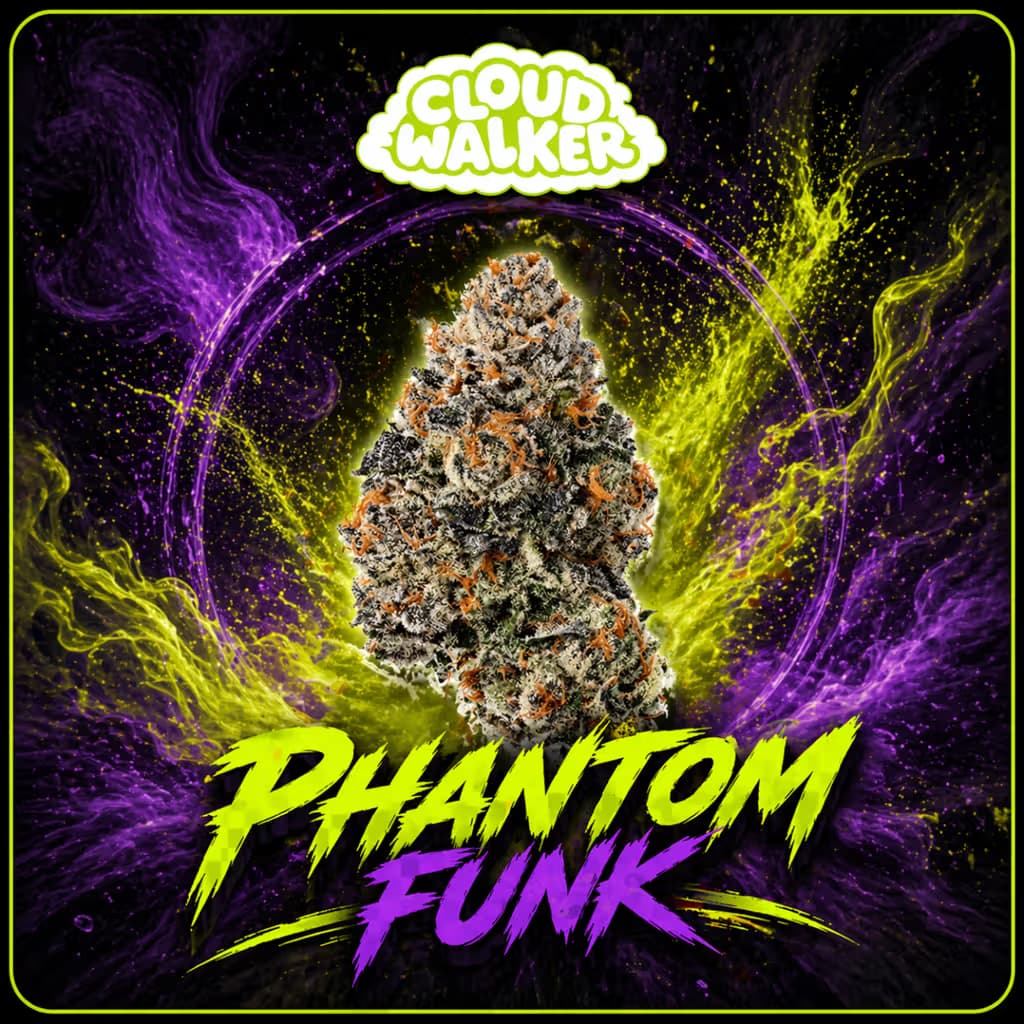 Cloudwalker CLOUDWALKER- WHOLE FLOWER- PHANTOM FUNK 20022
