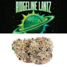 Cookies Ridgeline Lantz