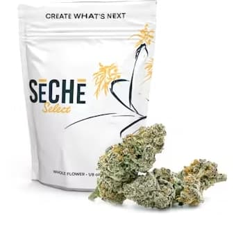SeCHe Peanut Butter & Jealous