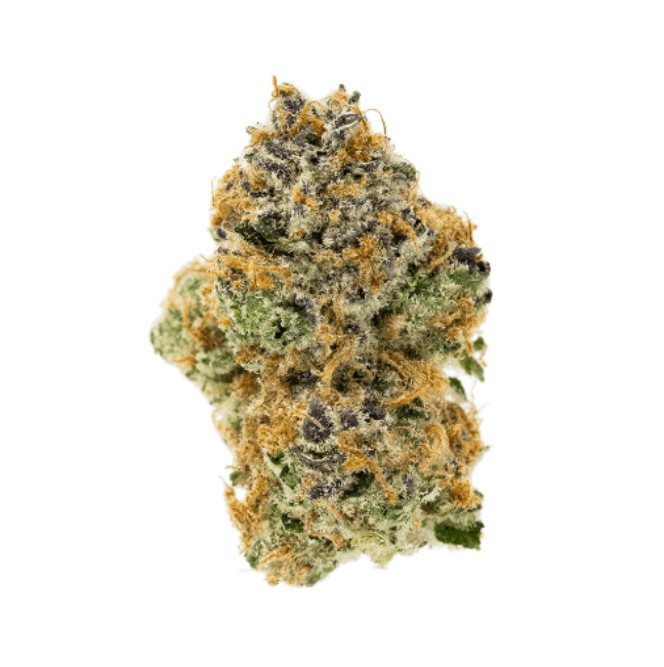 Devils Lettuce Mimosa EVO