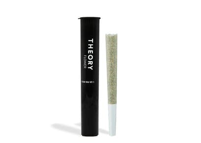 THEORYx Preroll .35g - Dosidos