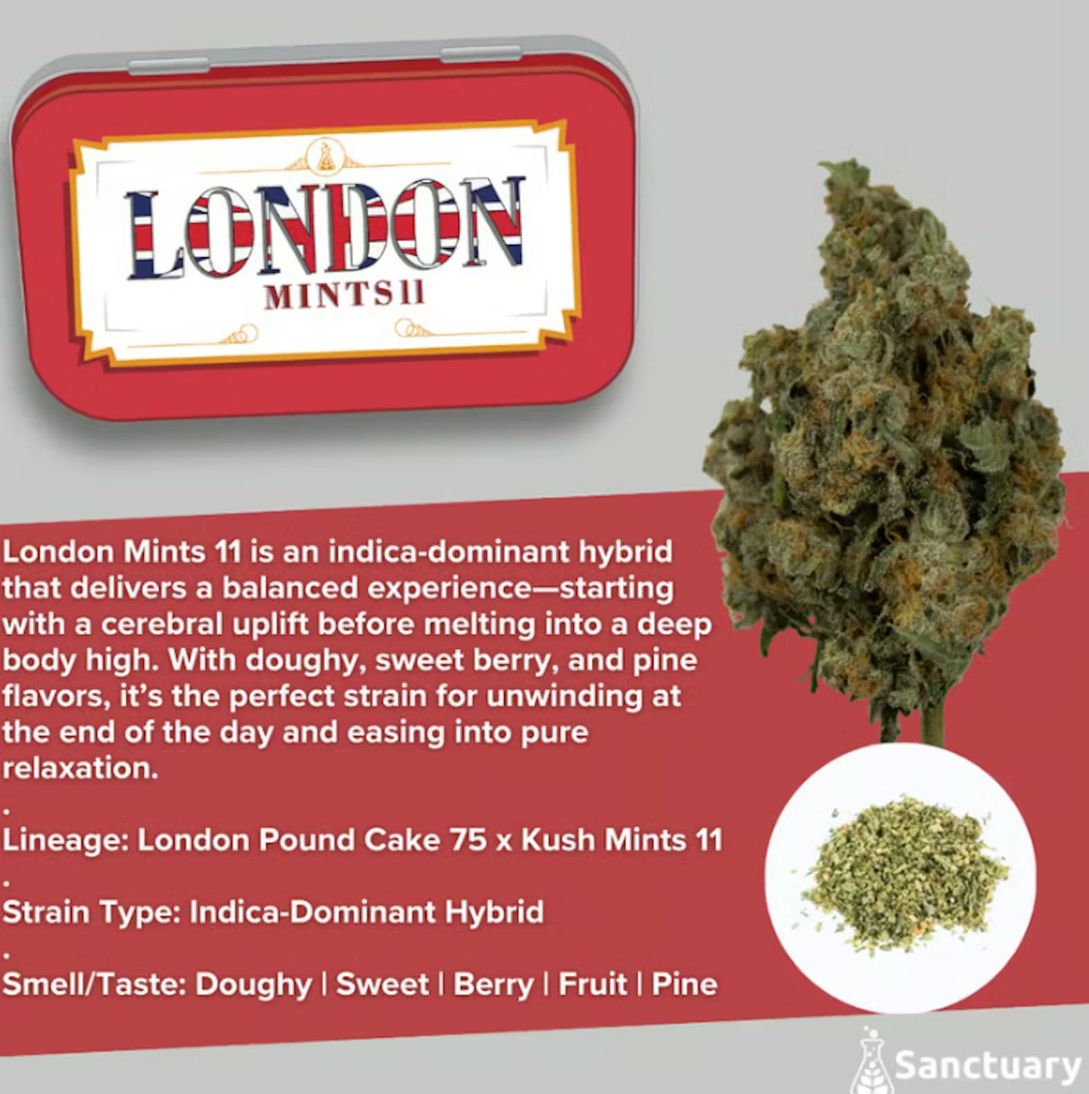Sanctuary Medicinals London Mints 11